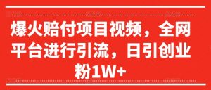 爆火赔付项目视频,全网平台进行引流,日引创业粉1W+【揭秘】-淘金日记