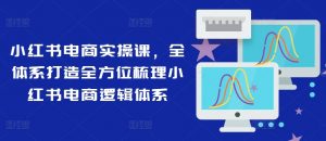 小红书电商实操课，全体系打造全方位梳理小红书电商逻辑体系-淘金日记