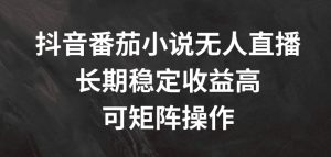抖音番茄小说无人直播,长期稳定收益高,可矩阵操作【揭秘】-淘金日记