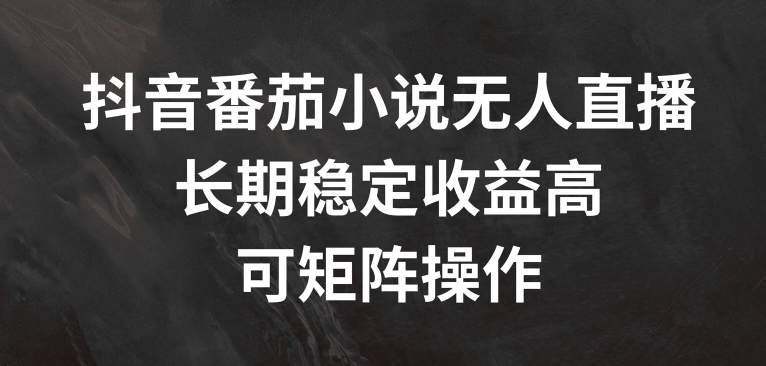 抖音番茄小说无人直播,长期稳定收益高,可矩阵操作【揭秘】-淘金日记