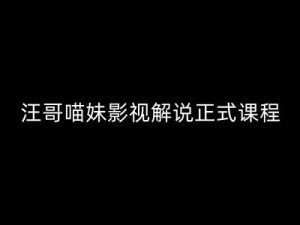 汪哥影视解说正式课程:剪映/PR教学/视解说剪辑5大黄金法则/全流程剪辑7把利器等等-淘金日记