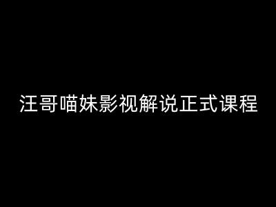 汪哥影视解说正式课程:剪映/PR教学/视解说剪辑5大黄金法则/全流程剪辑7把利器等等-淘金日记