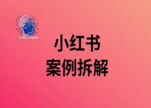 小红书案例拆解，深度解读小红书40万粉-淘金日记