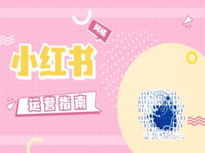 小红书运营指南,没有套路,全是经验-淘金日记
