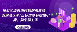 拼多多虚拟电商陪跑训练营，教你从0到1玩转拼多多虚拟电商，简单易上手（更新）-淘金日记