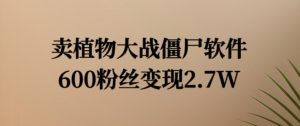 卖植物大战僵尸软件，600粉丝变现2.7W【揭秘】-淘金日记