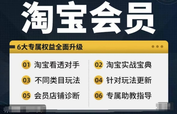 淘宝会员【淘宝所有课程，全面分析对手】，初级到高手全系实战宝典-淘金日记