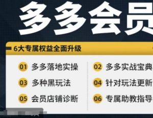 拼多多会员，拼多多实战宝典+实战落地实操，从新手到高阶内容全面覆盖-淘金日记
