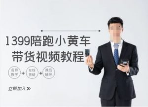 1399陪跑tiktok小黄车带货视频教程,tiktok跨境电商教程-淘金日记