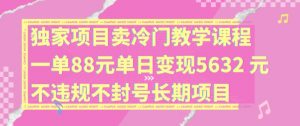 独家项目卖冷门教学课程一单88元单日变现5632元违规不封号长期项目【揭秘】-淘金日记