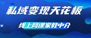 私域变现天花板,网课家教中介,只做渠道和流量,让大学生给你打工,0成本实现月入五位数【揭秘】-淘金日记