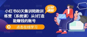小红书60天集训陪跑训练营(系统课)从0打造能赚钱的账号-淘金日记