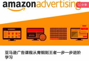 亚马逊广告课程，从青铜到王者一步一步进阶学习-淘金日记