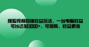 搜狐视频自撸收益玩法,一台电脑收益可以达到3k+,可矩阵,收益更高【揭秘】-淘金日记