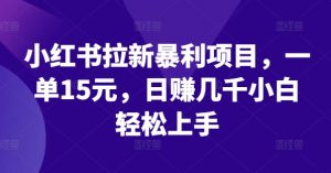 小红书拉新暴利项目,一单15元,日赚几千小白轻松上手【揭秘】-淘金日记