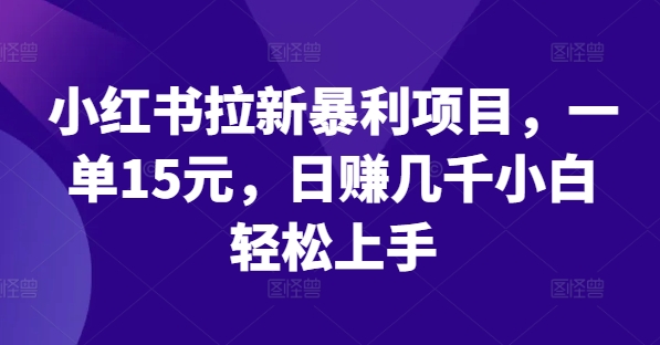 小红书拉新暴利项目，一单15元，日赚几千小白轻松上手【揭秘】-淘金日记