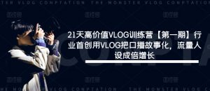 21天高价值VLOG训练营【第一期】行业首创用VLOG把口播故事化,流量人设成倍增长-淘金日记