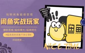 从0到1系统玩转闲鱼变现,教你核心选品思维,提升产品曝光及转化率-淘金日记