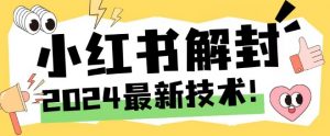 2024最新小红书账号封禁解封方法，无限释放手机号【揭秘】-淘金日记