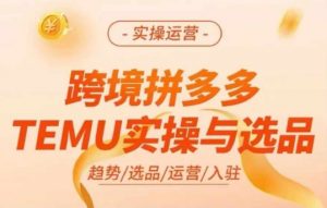 跨境拼多多TEMU实操与选品,多多temu跨境选品运营实操-淘金日记
