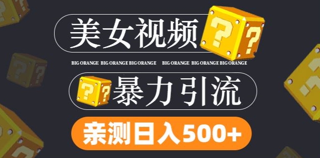 搬运tk美女视频全网分发,日引s粉300+,轻松变现,不限流量不封号【揭秘】-淘金日记