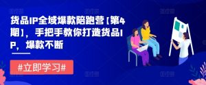 货品IP全域爆款陪跑营【第4期】,手把手教你打造货品IP,爆款不断-淘金日记