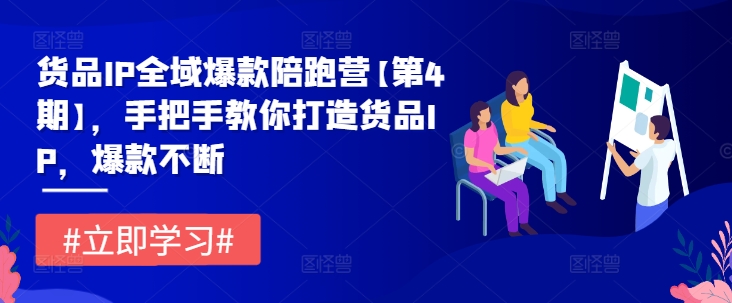 货品IP全域爆款陪跑营【第4期】,手把手教你打造货品IP,爆款不断-淘金日记
