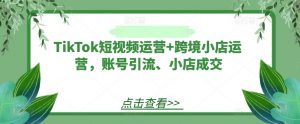 TikTok短视频运营+跨境小店运营,账号引流、小店成交-淘金日记