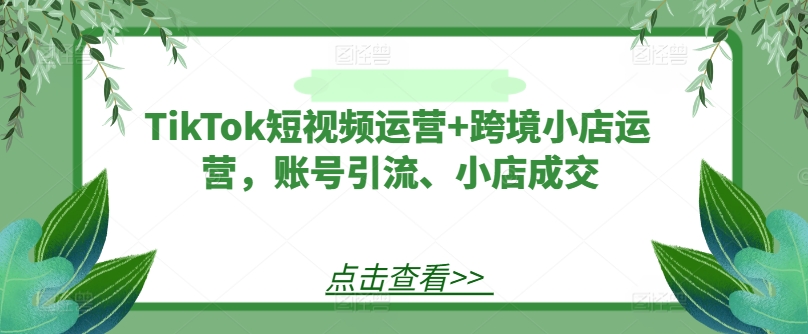 TikTok短视频运营+跨境小店运营,账号引流、小店成交-淘金日记