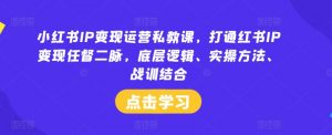 小红书IP变现运营私教课,打通红书IP变现任督二脉,底层逻辑、实操方法、战训结合-淘金日记