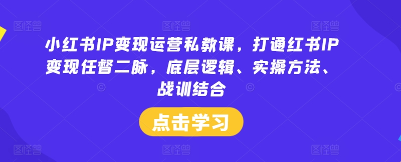 小红书IP变现运营私教课,打通红书IP变现任督二脉,底层逻辑、实操方法、战训结合-淘金日记