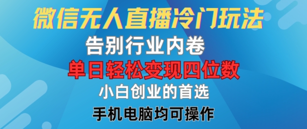 微信无人直播冷门玩法，告别行业内卷，单日轻松变现四位数，小白的创业首选【揭秘】-淘金日记