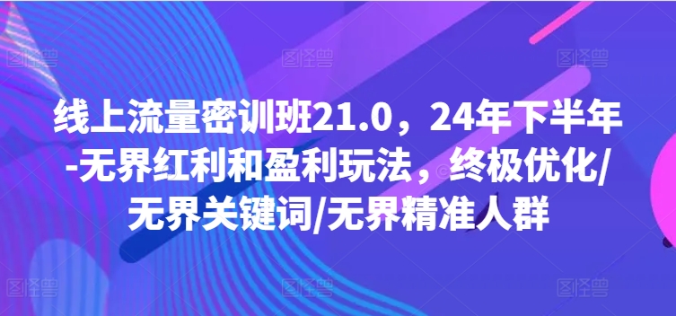 线上流量密训班21.0,24年下半年-无界红利和盈利玩法,终极优化/无界关键词/无界精准人群-淘金日记