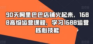 90天阿里巴巴店铺火起来，1688高级运营课程，学习1688运营核心技能-淘金日记