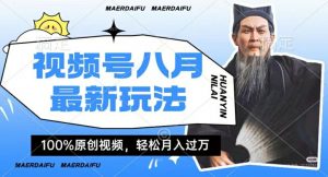利用人物传记视频，赚视频号分成计划收益，操作简单，轻松月入过W【揭秘】-淘金日记