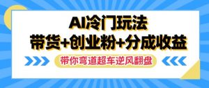 AI冷门玩法，带货+创业粉+分成收益，带你弯道超车，实现逆风翻盘【揭秘】-淘金日记