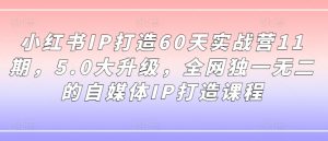 小红书IP打造60天实战营11期,5.0大升级,全网独一无二的自媒体IP打造课程-淘金日记