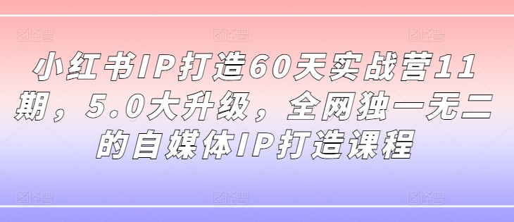 小红书IP打造60天实战营11期,5.0大升级,全网独一无二的自媒体IP打造课程-淘金日记