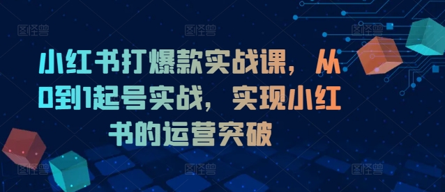 小红书打爆款实战课,从0到1起号实战,实现小红书的运营突破-淘金日记