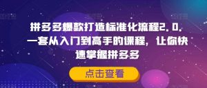 拼多多爆款打造标准化流程2.0，一套从入门到高手的课程，让你快速掌握拼多多-淘金日记