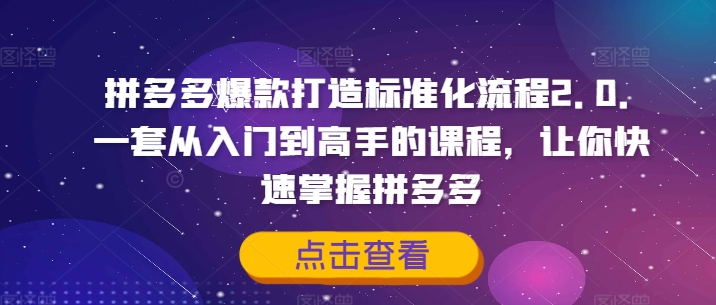 拼多多爆款打造标准化流程2.0,一套从入门到高手的课程,让你快速掌握拼多多-淘金日记