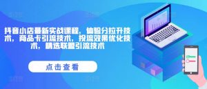 抖音小店最新实战课程,体验分拉升技术,商品卡引流技术,投流效果优化技术,精选联盟引流技术-淘金日记