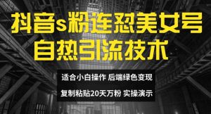 抖音s粉连怼美女号自热引流技术复制粘贴，20天万粉账号，无需实名制，矩阵操作【揭秘】-淘金日记