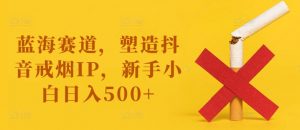 蓝海赛道,塑造抖音戒烟IP,新手小白日入500+【揭秘】-淘金日记