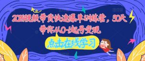 2024视频带货快速爆单训练营，30天带你从0-1起号变现-淘金日记