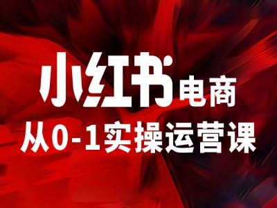 小红书电商从0-1实操运营课，让你从小白到精英-淘金日记
