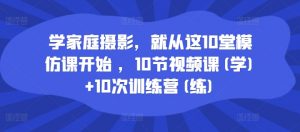 学家庭摄影,就从这10堂模仿课开始 ,10节视频课(学)+10次训练营(练)-淘金日记