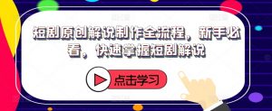 短剧原创解说制作全流程,新手必看,快速掌握短剧解说-淘金日记