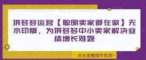 拼多多运营【聪明卖家都在做】无水印版，为拼多多中小卖家解决业绩增长难题-淘金日记