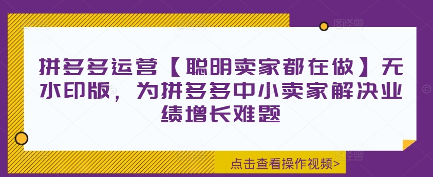 拼多多运营【聪明卖家都在做】无水印版,为拼多多中小卖家解决业绩增长难题-淘金日记